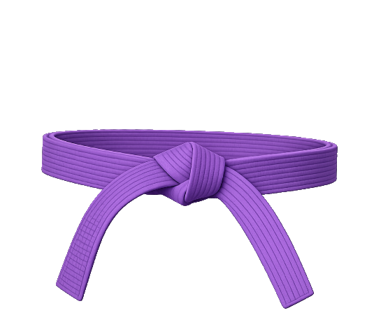 Karate Belt