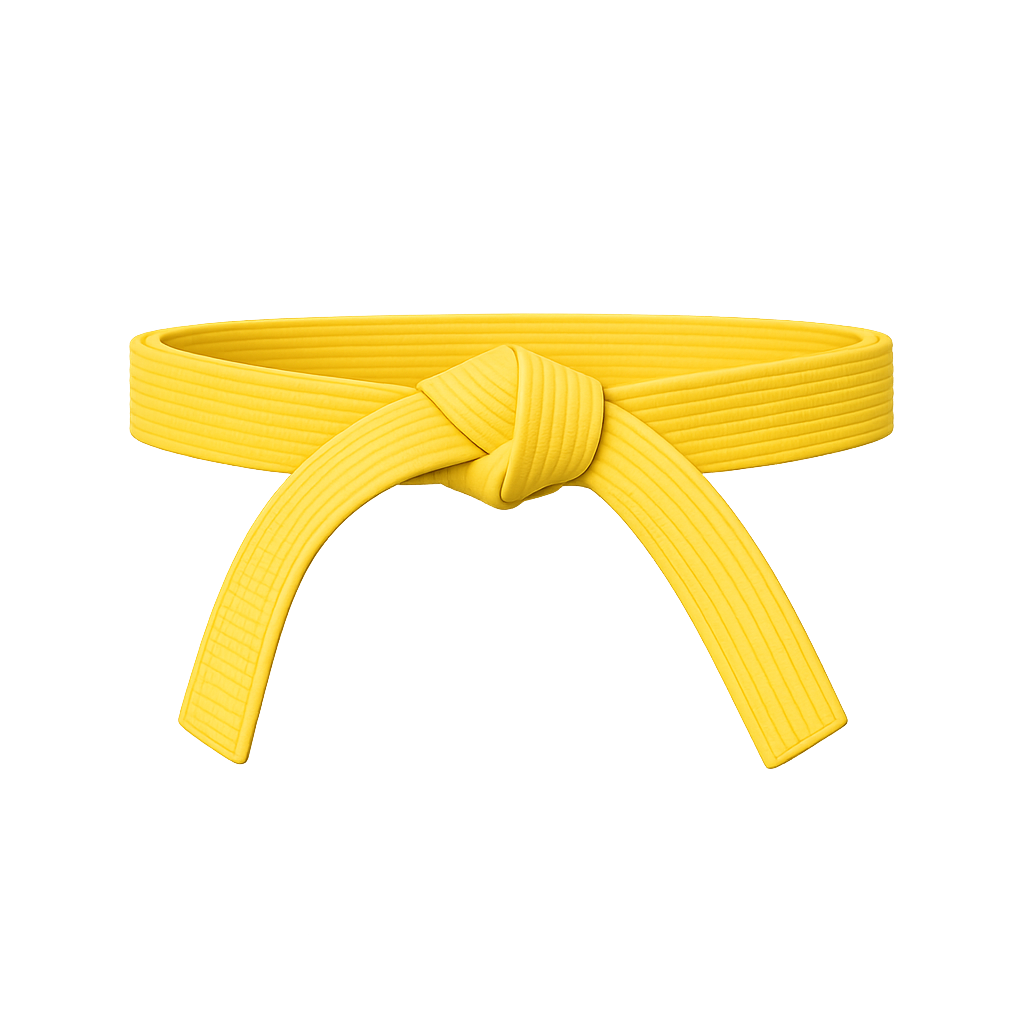 Yellow Belt